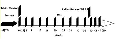 Supplementation of Diets With Bovine Colostrum Influences Immune and Gut Function in Kittens